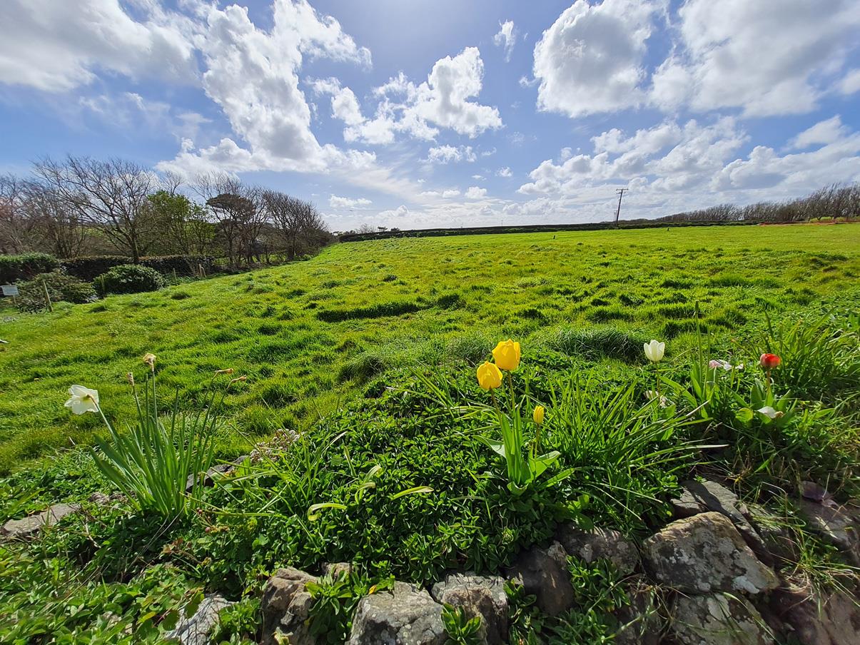 Park Enskellaw, Mullion
